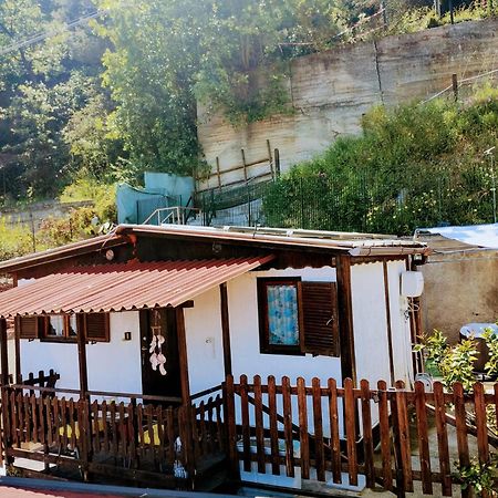 Bungalow Sixdays 2 Camporosso  Εξωτερικό φωτογραφία