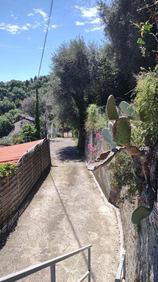 Bungalow Sixdays 2 Camporosso  Εξωτερικό φωτογραφία