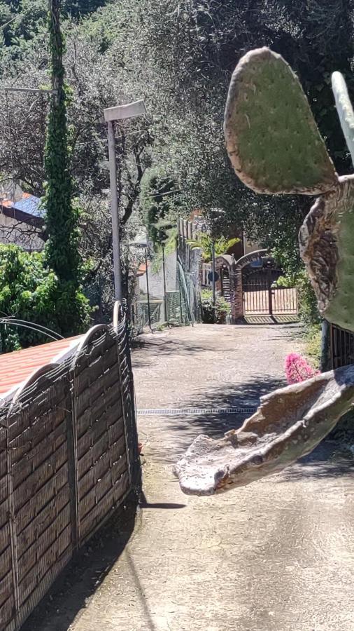 Bungalow Sixdays 2 Camporosso  Εξωτερικό φωτογραφία