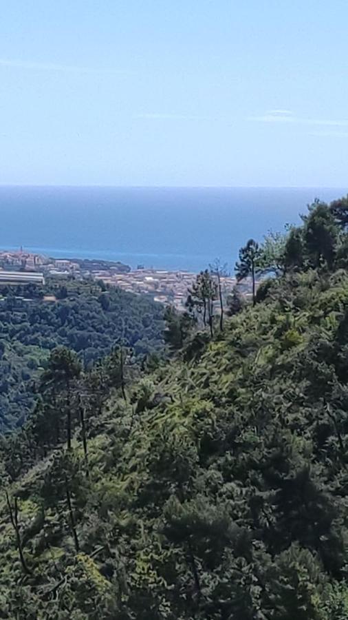 Bungalow Sixdays 2 Camporosso  Εξωτερικό φωτογραφία