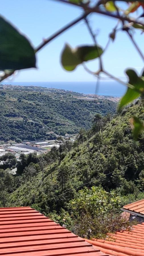 Bungalow Sixdays 2 Camporosso  Εξωτερικό φωτογραφία