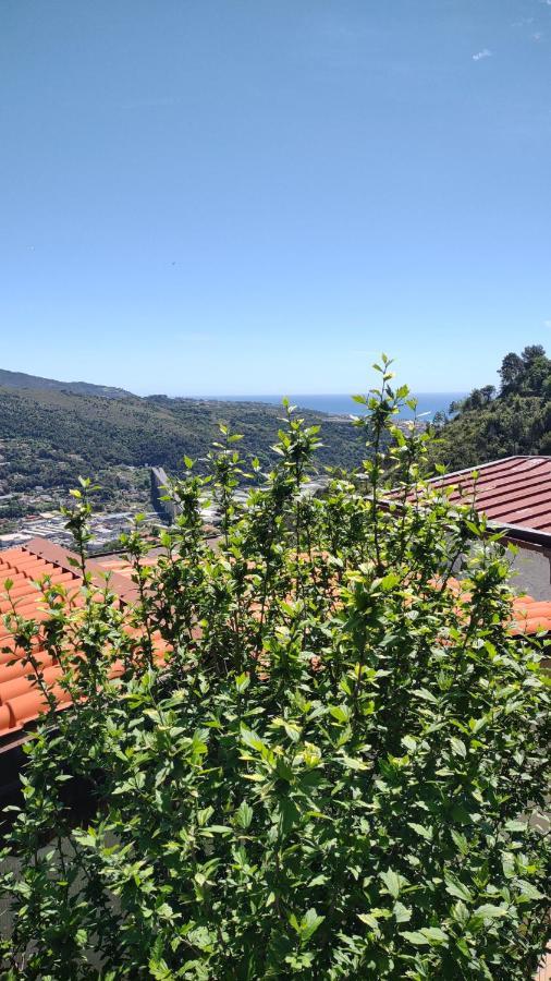 Bungalow Sixdays 2 Camporosso  Εξωτερικό φωτογραφία