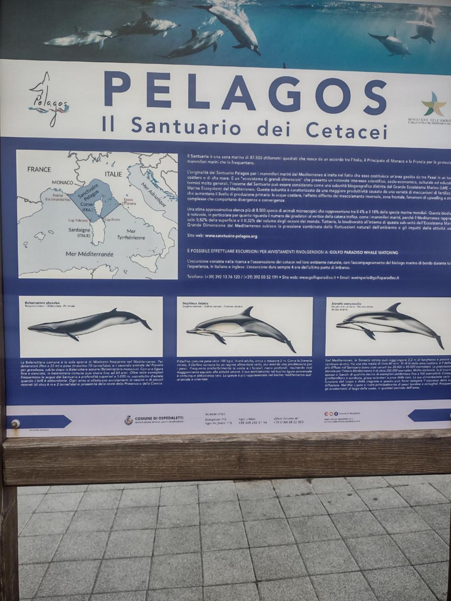 Bungalow Sixdays 2 Camporosso  Εξωτερικό φωτογραφία